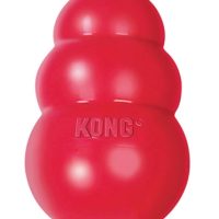 Kong Classic Rood