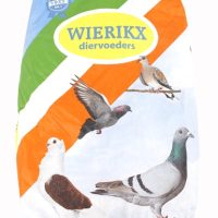 Excellent Haags Duivenvoer