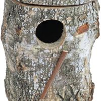 Merkloos Broedblok Berkenhout Valkparkiet