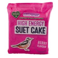 Suet To Go Energie Blok Bessen